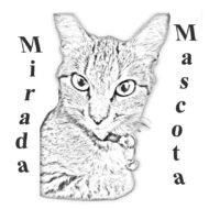 logo mirada mascota gato perro feliz amigo animal