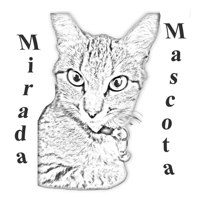 logo mirada mascota gato perro feliz amigo animal